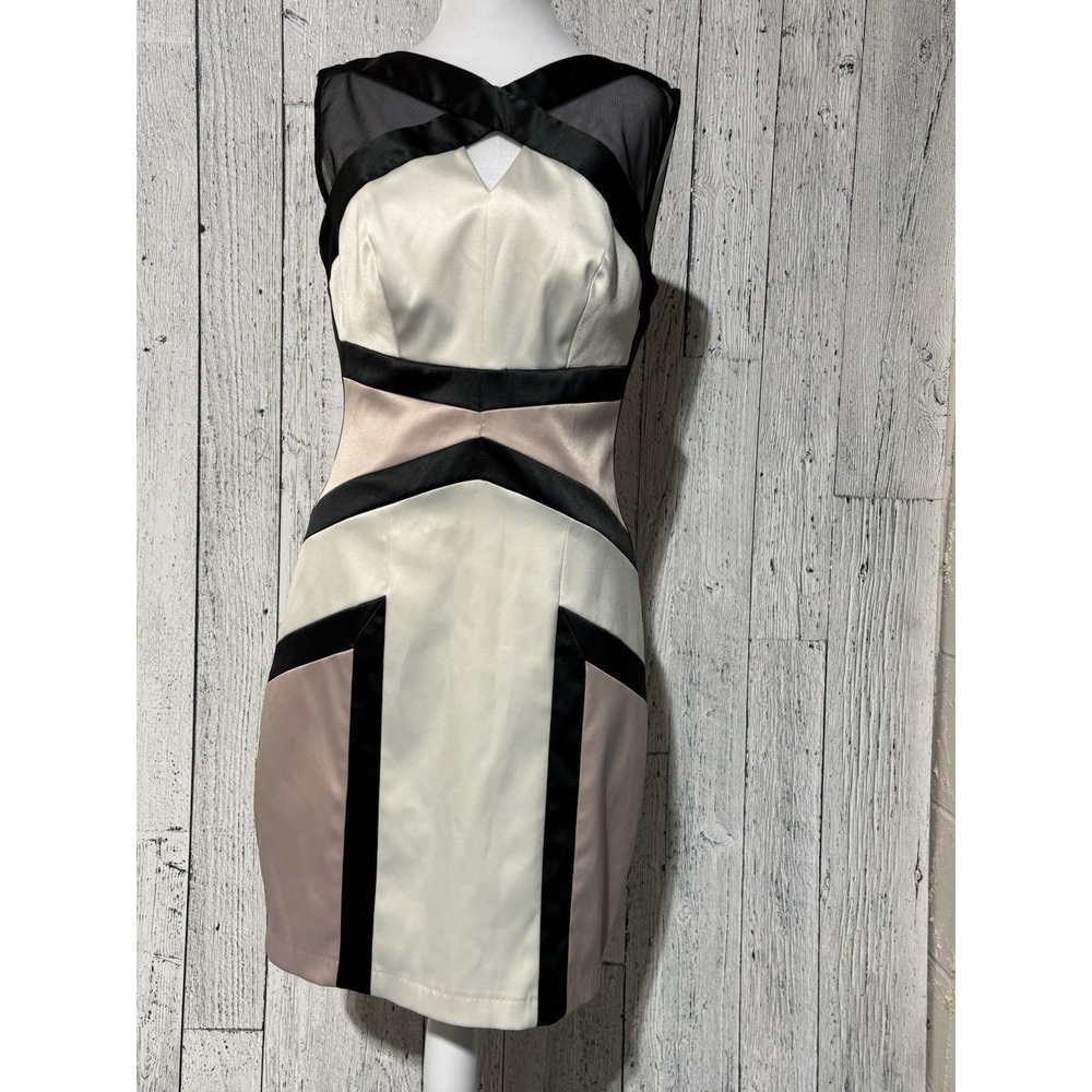 Jax Women's Assimetrical Sheath Dress Pink Black Beige Size 6